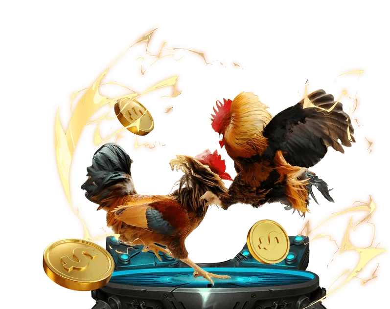 Giải Thích Chi Tiết Luật Đá Gà Thomo